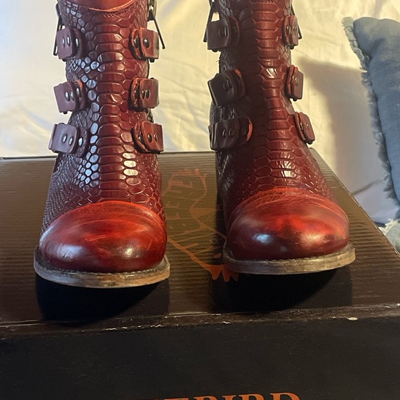 Freebird Gecko in Red - Picture 9 of 11